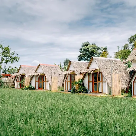 Bamboo Shack & Bamboo Cabin-2